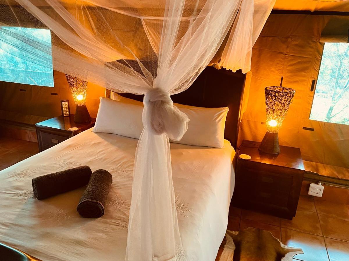 Campismo de Luxo Nyala Luxury Safari Tents