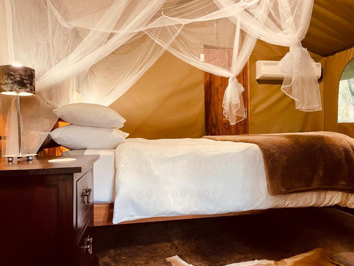 Campismo de Luxo Nyala Luxury Safari Tents Marloth Park