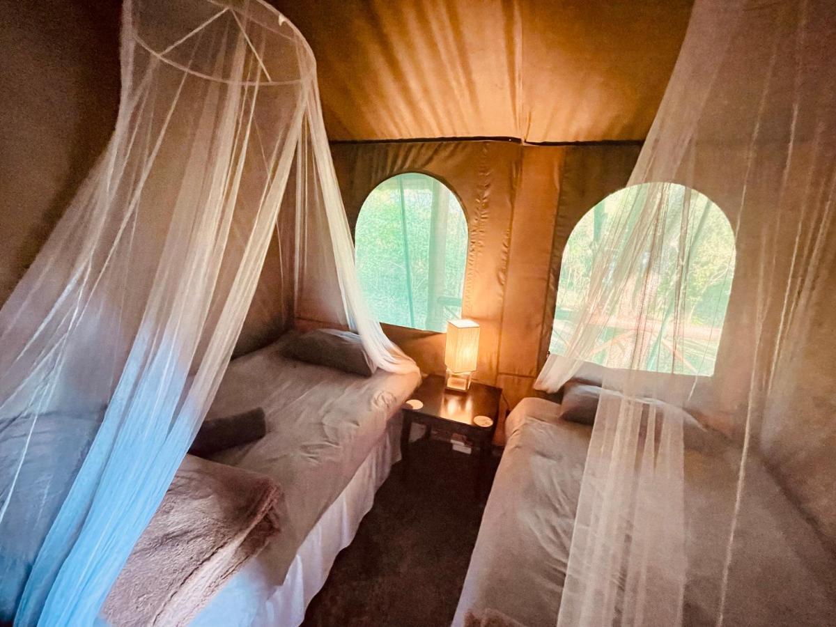 Nyala Luxury Safari Tents Campismo de Luxo Marloth Park