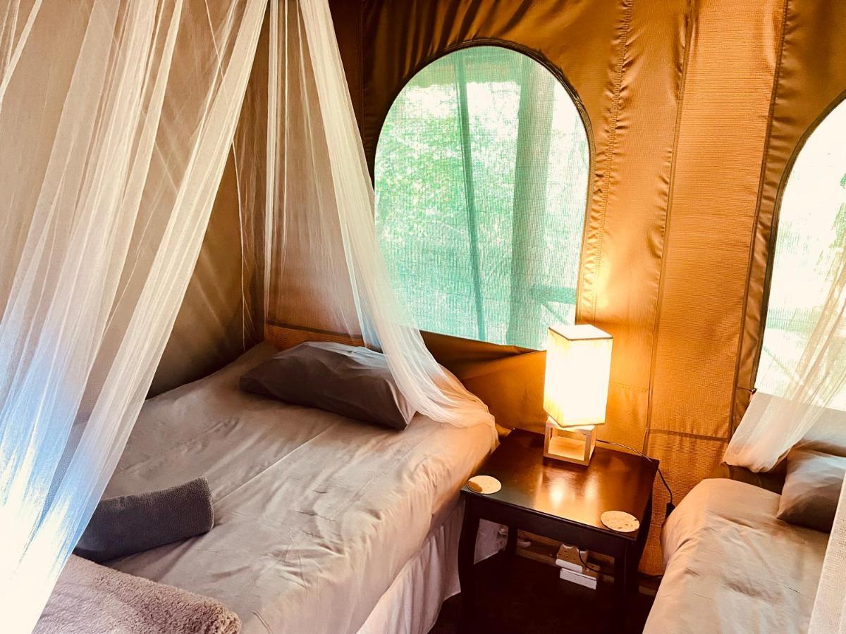 Campismo de Luxo Nyala Luxury Safari Tents *