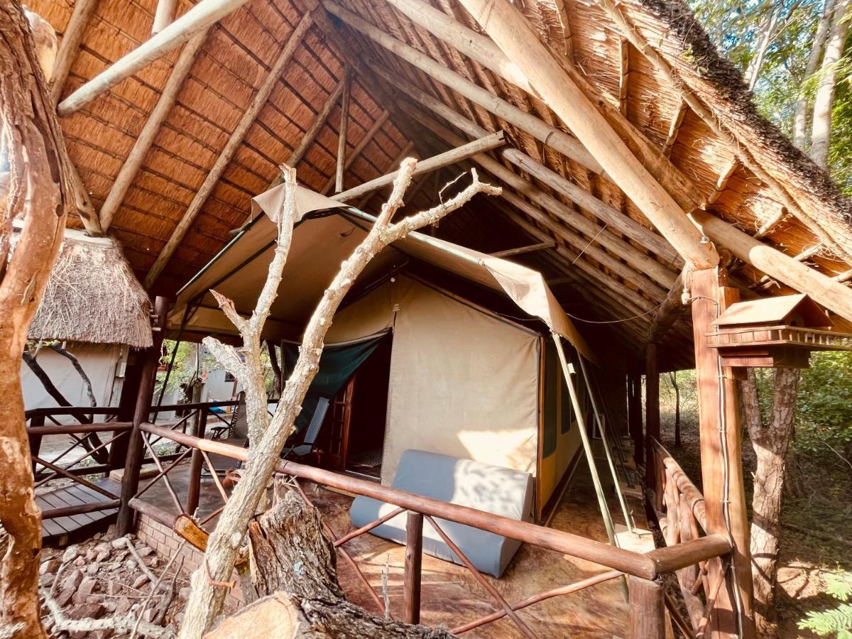 Campismo de Luxo Nyala Luxury Safari Tents