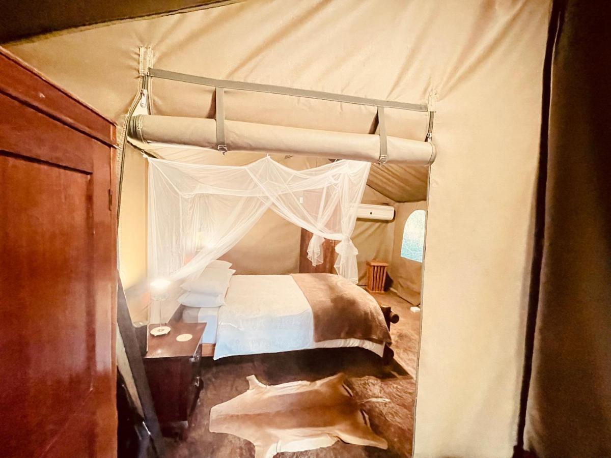 Campismo de Luxo Nyala Luxury Safari Tents *