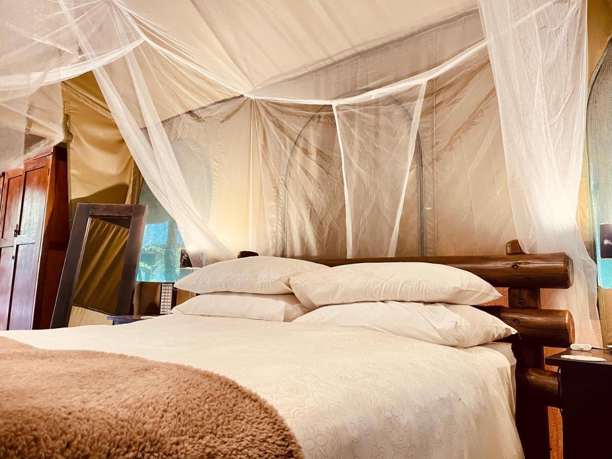 Nyala Luxury Safari Tents Luxe tent Marloth Park