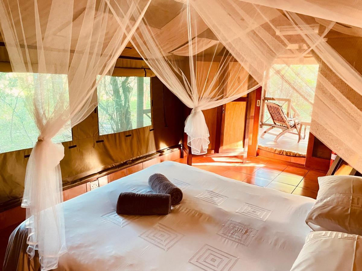 Campismo de Luxo Nyala Luxury Safari Tents Marloth Park