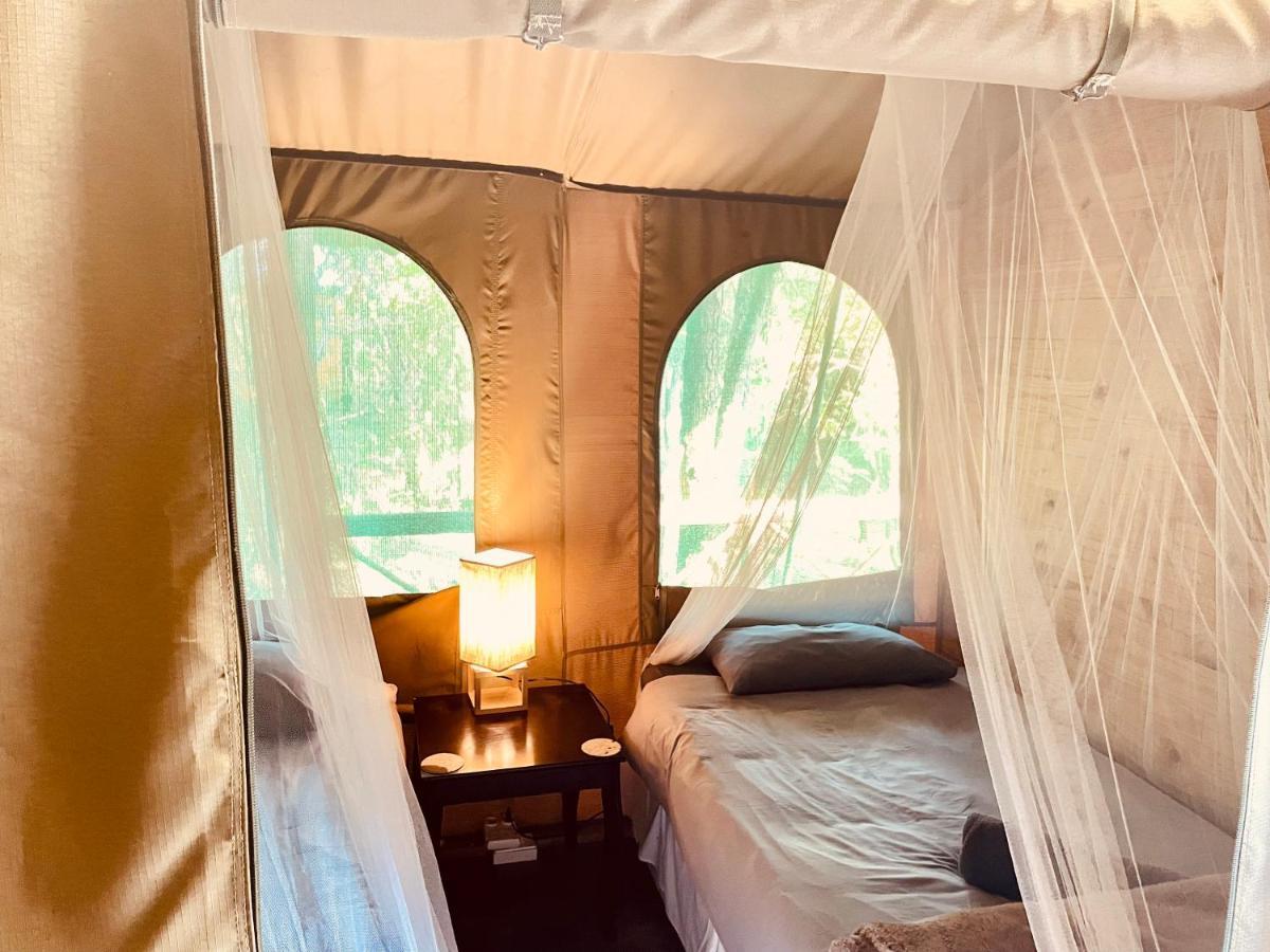 Campismo de Luxo Nyala Luxury Safari Tents Marloth Park