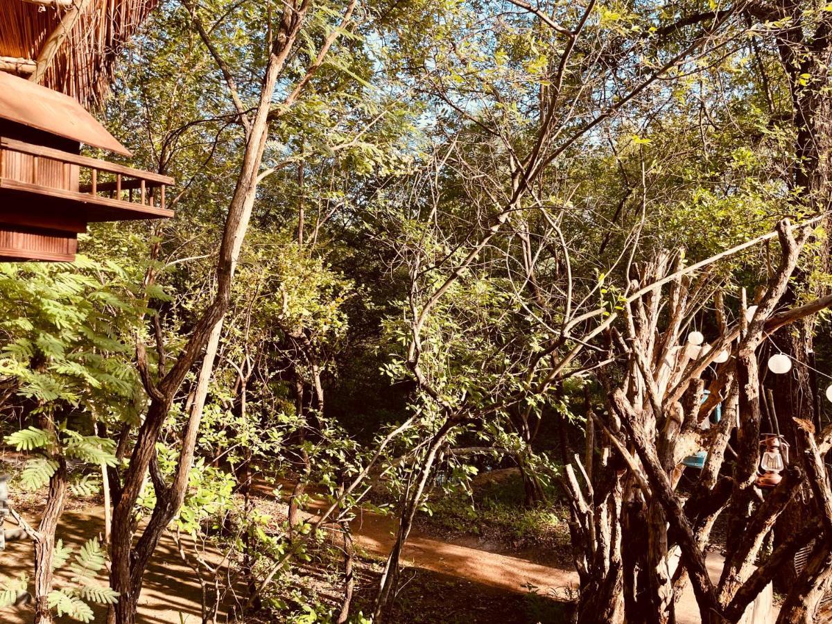 Nyala Luxury Safari Tents Campismo de Luxo