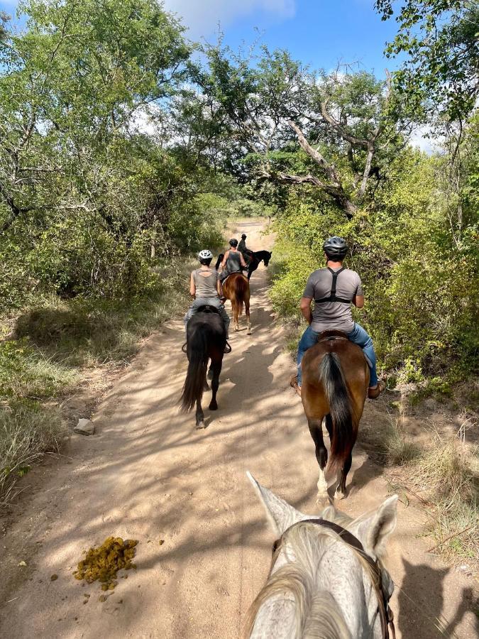 Nyala Luxury Safari Tents Campismo de Luxo