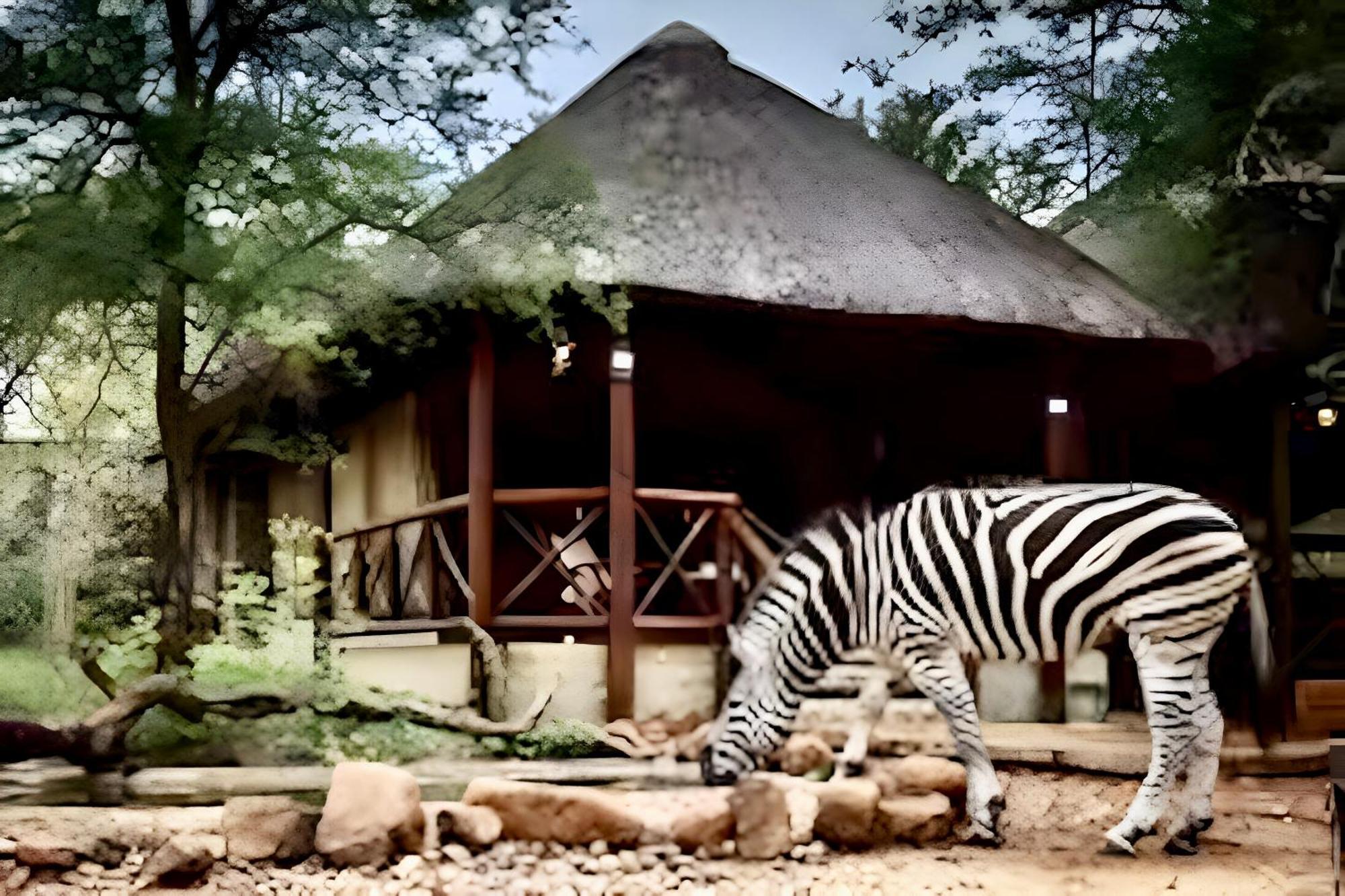 Nyala Luxury Safari Tents Campismo de Luxo *